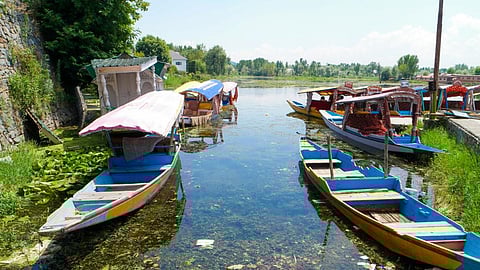 The presence of microplastics in the Jhelum river was noted by a recent study by researchers of the National Institute of Technology Srinagar. Photo: iStock