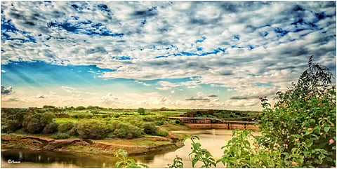 Photo: Author provided