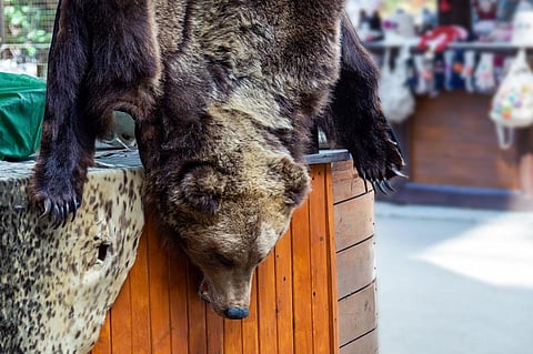 Photo for representation only. Source: iStock