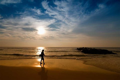 फोटो साभार: विकिमीडिया कॉमन्स, निक हैरिस