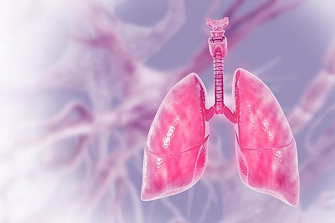 फोटो: आईस्टॉक