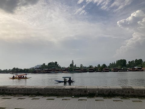 One single alligator gar, however, can not do any significant damage to Dal Lake, says expert. Photo: Irfan Amin Malik