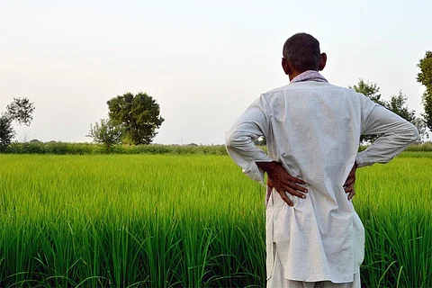 अपनी फसलों को निहारता किसान; फोटो: आईस्टॉक