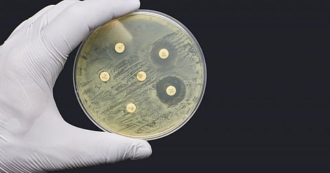 Antimicrobial resistance is the ability of bacteria and other microbes to resist the drugs used to inhibit or kill them. Photo: iStock