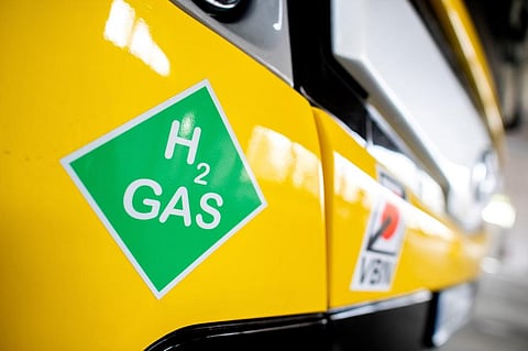 Photo: Hauke-Christian Dittrich / picture alliance via Getty Images