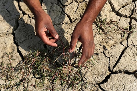 Uttar Pradesh has been the most affected, as 28 of the 75 districts in the state have reported no rains. Representative photo: iStock.
