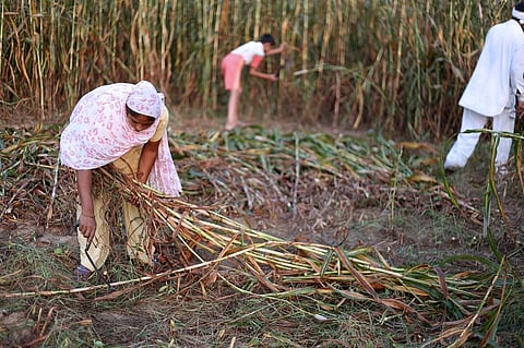 Capacity development of local self governments and resourcing is the key. Representative photo: iStock.