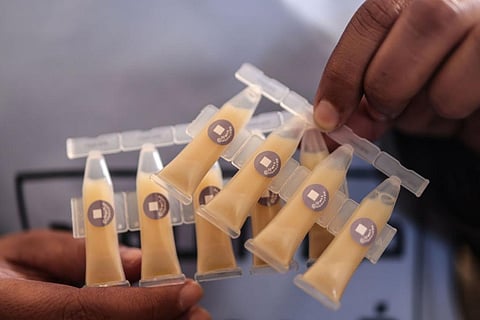 A member of the Syria Immunization Team holding cholera vaccinations. Photo: Anas Alkharboutli/picture alliance via Getty Images