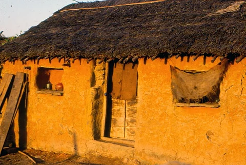 फाइल फोटो: सीएसई