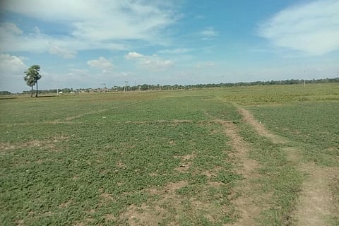 File photo: Umesh Kumar Ray