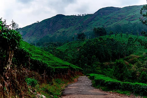 The onset of the monsoon over Kerala signals the beginning of the four-month (June-September) southwest monsoon season in India. Photo: iStock