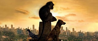 Urban Menace: Down To Earth’s cover story on dogs, monkeys and pigeons in Indian cities