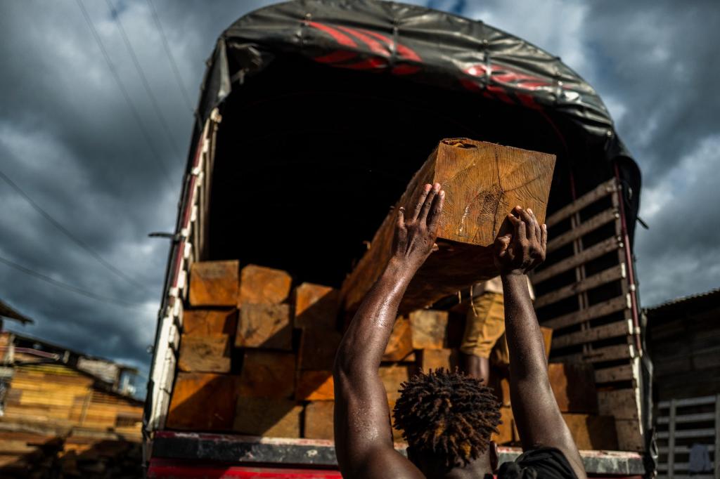 Photo: Jan Sochor/Getty Images