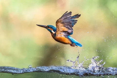 Representative photo: iStock.