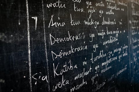 Photo: Jasmin Merdan/Getty Images