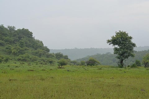 मॉनसून अपडेट: उत्तर, पूर्वोत्तर तथा दक्षिण भारत के इन राज्यों में आज भी भारी बारिश का अलर्ट