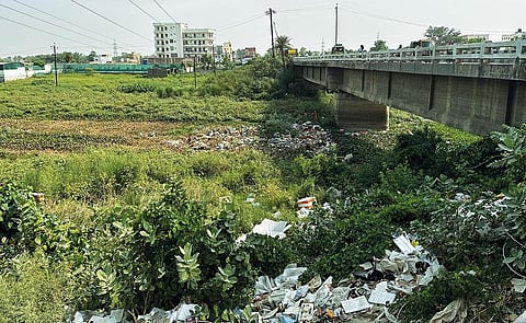In 2020, Bihar government claimed it had cleaned up Dhanauti river in East Champaran district after spending `3 crore to desilt the riverbed and carry out plantation drives. This image of the river, captured on June 24, 2023 tells a different story (Photograph: Priyadarshi Priyam)