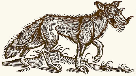 Wildlife wonders of Britain and Ireland before the industrial revolution