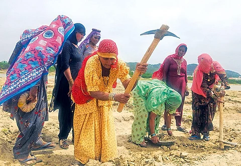 Ajmer Municipal Corporation is reviving a 500-year-old pond under  Rajasthan’s recently launched urban employment guarantee scheme  (Photographs: Raju Sajwan)