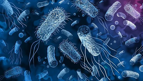 Representative photo: iStock.