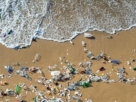 Microplastics are small particles of plastic measuring less than 5 mm in size, which can enter different ecosystems and pose risks to marine life, terrestrial organisms and human health. Photo: iStock