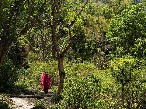 Representative photo: iStock.