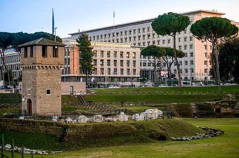 The 19th regular session of the Commission on Genetic Resources for Food and Agriculture was held July 17-21, 2023 in Rome, Italy at the FAO headquarters. Photo: iStock