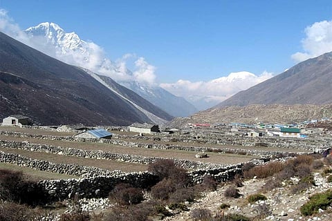 फोटो साभार: विकिमीडिया कॉमन्स, दारियो सेवेरी