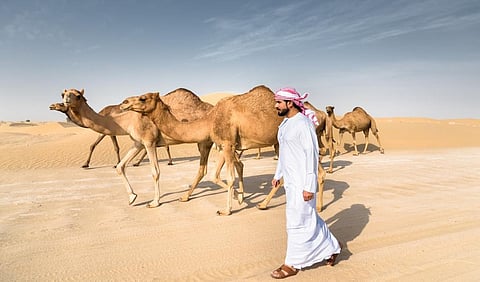 Representative photo from iStock