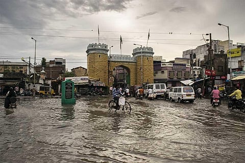 फोटो साभार: विकिमीडिया कॉमन्स, मोहम्मद मुबाशिर