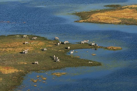 Oil exploration could put the Okavango Delta at risk. Photo: Sergio Pitamitz/VWPics/Universal Images/ Getty Images