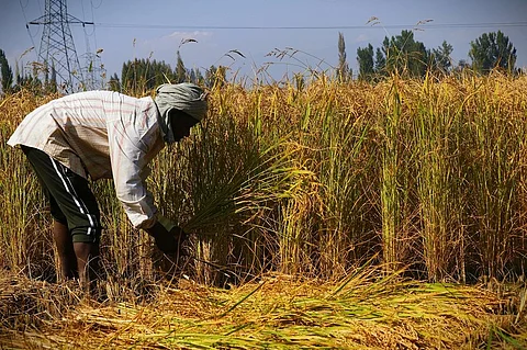 Projects under the scheme included primary processing centres, warehouses, custom hiring centres, logistics facilities, sorting and grading units, among others. Representative photo: iStock.
