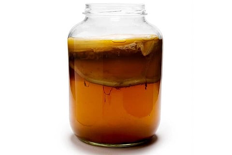 फोटो साभार: विकिमीडिया कॉमन्स, मगार्टन