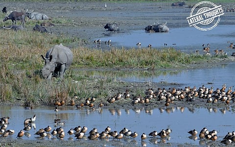 Representative photo from iStock