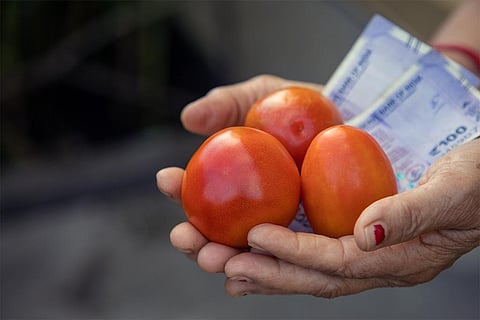 एक महीने में 233 फीसदी बढ़ी टमाटर की कीमतें; फोटो: आईस्टॉक
