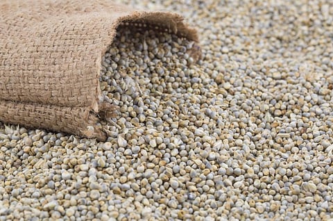 This initiative, the committee believed, will introduce the variety of coarse grains to the people at one place. Photo: iStock