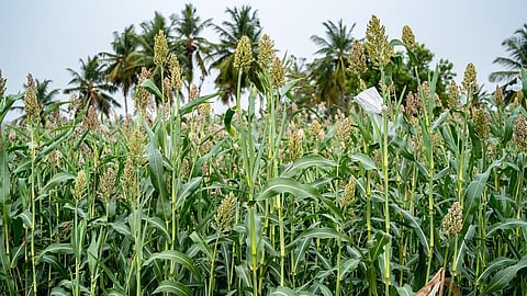 Representative photo: iStock.