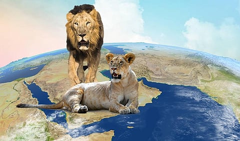 Illustration: Tarun Sehgal / CSE