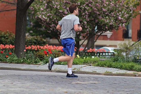 फोटो साभार: विकिमीडिया कॉमन्स, एल्वर्ट बार्न्स