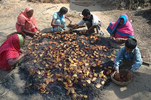 There are around 700 different tribal communities in the country, each with a different religion, culture, ethos and norms. Photo: CSE