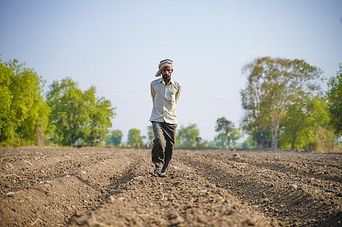 The findings are critical as the economy of Uttar Pradesh is primarily agrarian, with about 65 per cent of the total population dependent on agriculture. Representative photo: iStock