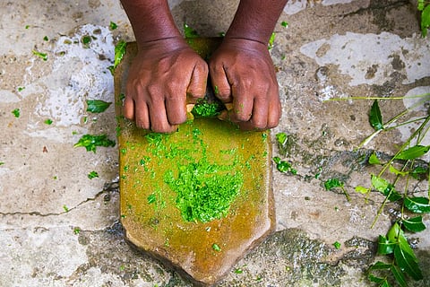 हल्दी और नीम की पत्तियों को पीसकर पारम्परिक औषधि तैयार करता वैध; फोटो: आईस्टॉक