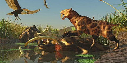 An iStock illustration showing prehistoric megafauna