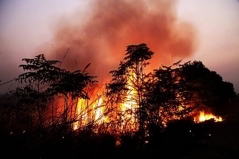 Representative photo: iStock