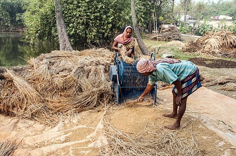 Biochar made from rice husk can help tackle both air pollution & groundwater contamination at once. Photo: iStock