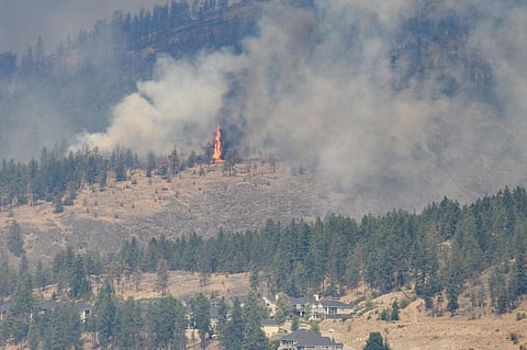 Trees burn in residential neighbourhood McDougall Creek during wildfire in West Kelowna, BC. Photo: shootthebreeze / iStock