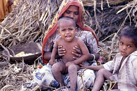 फोटो साभार : सीएसई