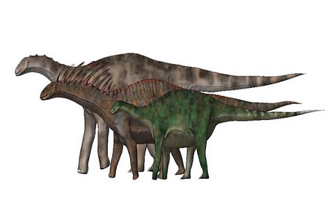 फोटो साभार: विकिमीडिया कॉमन्स, नोबू तामुरा, डाइक्रियोसॉरिड सॉरोपॉड