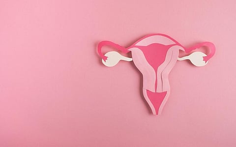 UK’s first successful womb transplant – key questions answered