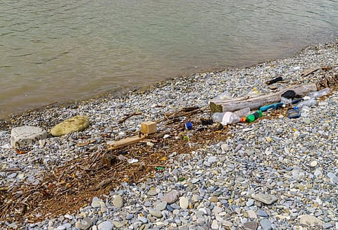 Uncollected waste finds its way into critical waterbodies such as the Barak, Gomti, Myntdu and Brahmaputra rivers. Photo: iStock